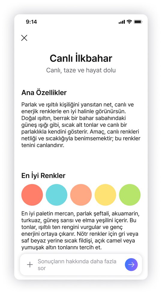 Yapay Zeka Stil Analizi